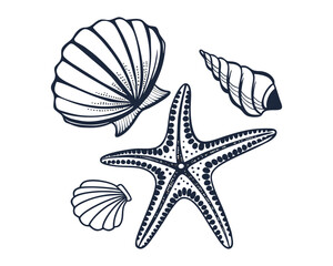 A black and white sketch featuring a variety of seashells and a starfish, presented in a vintage illustrative style