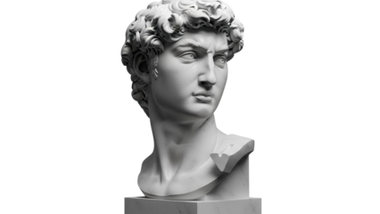 Michelangelo s David head sculpture isolated PNG, classical art statue on transparent background for design and educational use