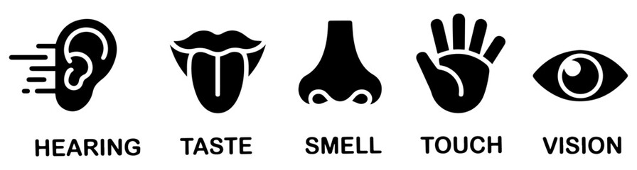 human five senses icon set