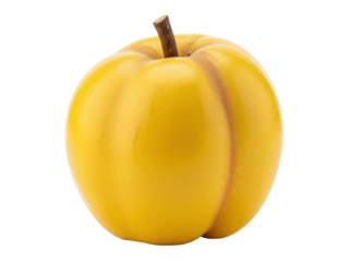 Isolated yellow pumpkin squash with a stem for Halloween or Thanksgiving harvest season