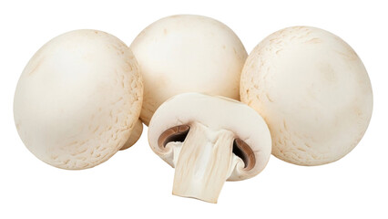 Isolated agaricus bisporus mushrooms, nutritious edible fungi for vegan cooking, healthy eating