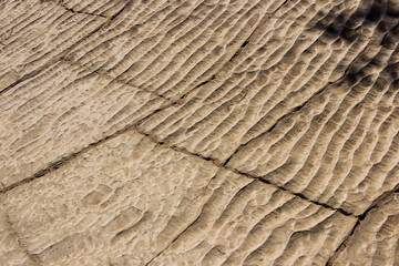 Dried up ripples cut through by cracks