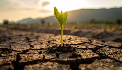 乾ききったひび割れた大地の中心から、力強く伸びる一本の新芽。
茶色い土と鮮やかな緑のコントラストが、生命の強さを際立たせます。
