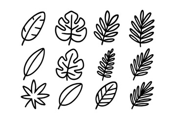 Twelve tropical and jungle leaf outline icons in doodle style