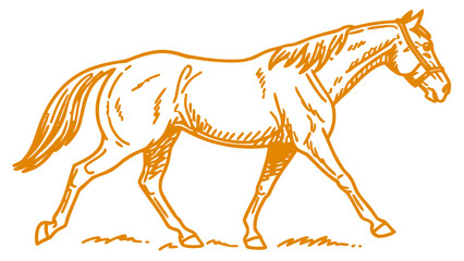 A beautifully sketched horse in motion, showcasing its grace and strength.