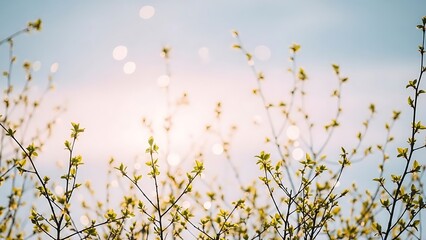 light scattering through random twigs and new leaves, spacious composition with calm negative space, soft pastel blue-pink sky, dreamy bokeh, natural gentle lightingo