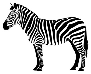 Obraz premium A black and white silhouette of a zebra standing upright, black, illustration, profile, stand, white, zebra, against transparent background