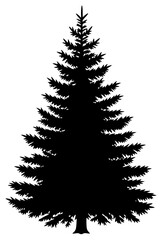 Obraz premium A black and white silhouette of a tall pine tree, black, christmas tree, fir tree, illustration, pine, profile, spruce, tree, against transparent background