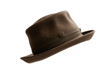 Brown Fedora Hat