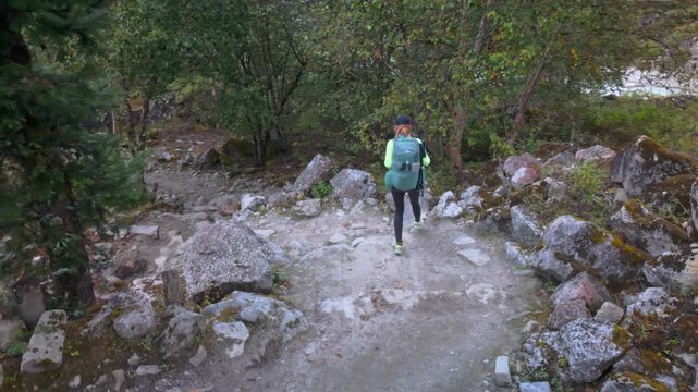 Woman hiker walking downhill on a rocky path. Mountain trail in a forest, Manaslu trek, Nepal. High-angle shot.