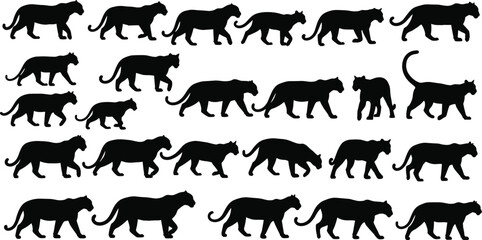 Black Panther, Leopard, Puma, Cheetah, Wild Big Cat Silhouette Collection in Walking Pose, Vector Set for Wildlife and Nature Design.