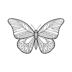 Zentangle butterfly intricate geometric pattern vector illustration