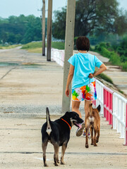 Asian woman walking together with her pet along path in park. Sports woman walking for exercise with dog outside in park. Cheerful woman walking and running with her dog on sidewalk. Active leisure.
