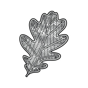 Oak leaf autumn zentangle geometric pattern vector illustration