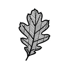 Zentangle mandala doodle abstract decorative pattern art vector illustration