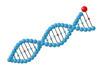3d rendering of a blue dna double helix structure with red spheres isolated on transparent background