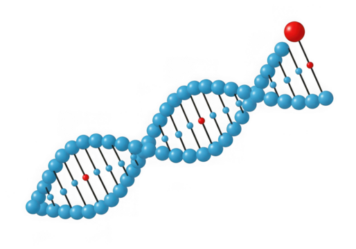 3d rendering of a blue dna double helix structure with red spheres isolated on transparent background - Powered by Adobe