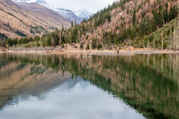A peaceful wooden boardwalk stretches across a crystal-clear mountain lake surrounded by dense pine forests and rugged alpine slopes. The emerald-green water reflects the surrounding trees and distant