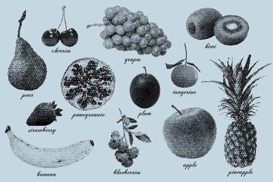 Vintage vector set of fruit and berry illustrations on a blue background. Bitmap art.
