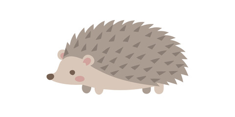 Cute cartoon hedgehog illustration with soft spines and a gentle expression
