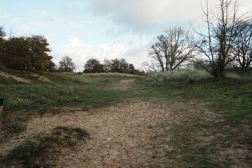 Dunes &agrave; Koksijde ou Coxyde &agrave;  la mer du nord en Flandres, Belgique, Europe
