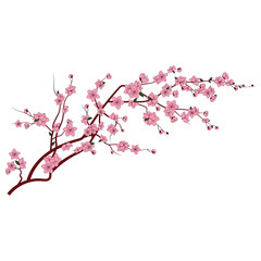Fototapeta premium A beautiful illustration of a cherry blossom branch with delicate pink flowers