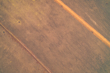 Aerial top down view of long straight military trench line in dry field. War zone defense fortification and anti-tank ditch background texture.