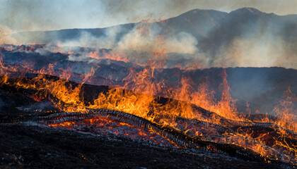Fototapeta premium 山火事の風景