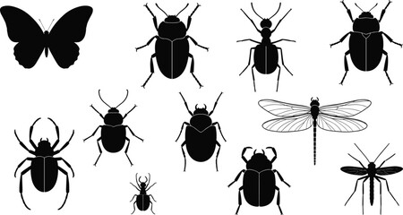 Insect silhouette collection, butterflies, beetles, dragonflies, mosquitoes, detailed bug illustrations for science, nature education, biology projects, vector design set