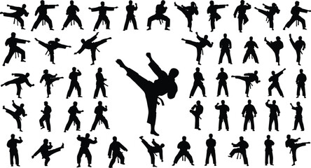 Martial arts silhouette collection, dynamic karate and kickboxing action poses, combat training movements for self-defense, fitness, sport illustration vector set