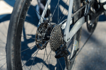 A close-up view of a bicycle's rear wheel and drivetrain, showcasing intricate components like the cassette and derailleur.