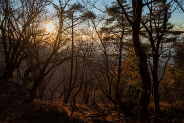 Climbing Mount Tonodake and Tanzawa, Kanagawa, Japan