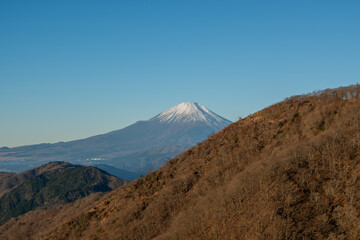 Climbing Mount Tonodake and Tanzawa, Kanagawa, Japan