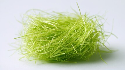 Studio shot of decorative Easter grass tuft with vivid green color