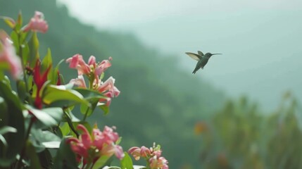Naklejka premium Hummingbird Flying Near Pink Flowers in Natural Garden Scene