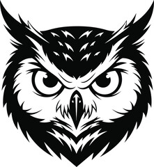 Obraz premium Fierce Owl Face Illustration