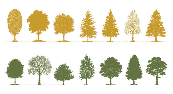 Minimal style CAD tree line drawing featuring side view silhouettes and detailed tree sketches, vector graphic elements for architecture, landscape design