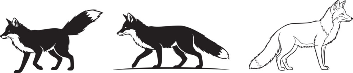 Black silhouette of a fox standing, Black fox silhouette prowling animal mammal.