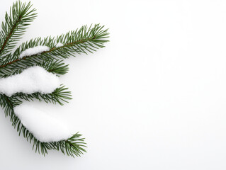 Obraz premium Christmas minimal concept with green pine branch and snow on white background creating calm festive winter mood