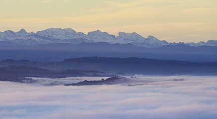 View from the Gisiflue over the sea of fog, the snowy Bernese Alps in the morning light, Talheim, Canton, Aargau, Switzerland