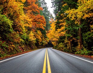 Obraz premium Autumn road lined with colorful trees