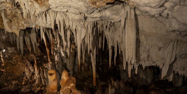 Stalactites in a stalactite cave, Terciopelo Cave, Barra Honda National Park, Costa Rica