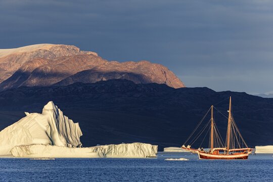 Sailing boat, ship in fjord in front of large icebergs and mountains, evening light, Scoresby Sound, East Greenland, Greenland