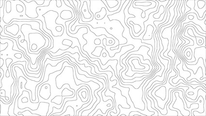 A modern minimal vector background with abstract black flowing curves arranged as topographic contour lines on a white surface — for creative decoration, packaging, and wallpaper designs.