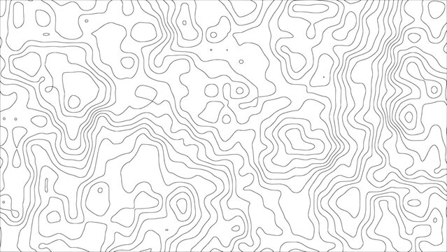 A modern minimal vector background with abstract black flowing curves arranged as topographic contour lines on a white surface &mdash; for creative decoration, packaging, and wallpaper designs.