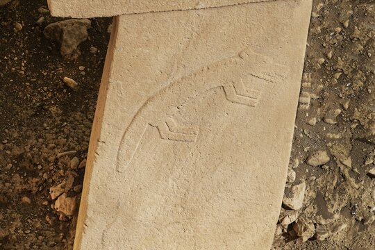 Gobekli Tepe neolithic archaeological site dating from 10 millennium BC, Massive stone pillars with sculptural relief of wild animals, Potbelly Hill, Sanliurfa, Turkey