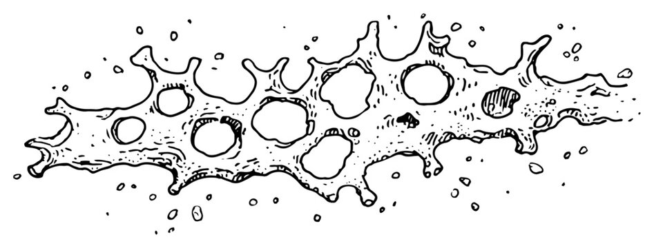 Hand drawn abstract liquid splash vector illustration showing dripping slime or goo sketch with bubbles and drops