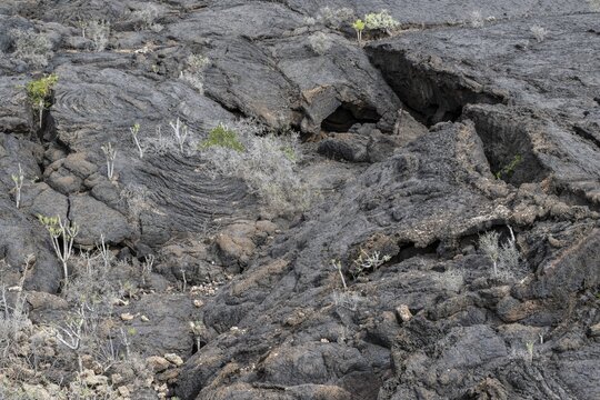 Lava structures, Costa Teguise, Lanzarote, Canary Islands, Spain