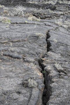 Lava structures, Costa Teguise, Lanzarote, Canary Islands, Spain