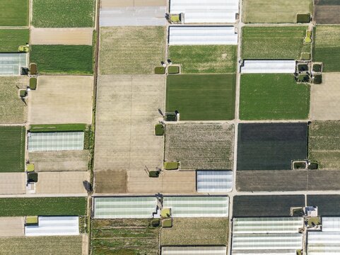 Cultivated fields in the semi rural district of La Algaida next to Sanl&uacute;car de Barrameda. Aerial view. Drone shot. C&aacute;diz province, Andalusia, Spain